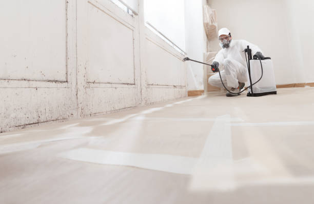 24/7 Emergency Mold Remediation experts in Nutley, NJ