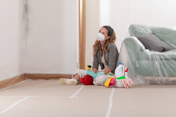 Reliable Mold Remediation contractor in Nutley, NJ by Mold Remediation HQ